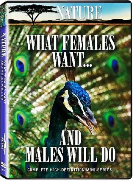 ¼ƬҪʲôԻʲô/What Females Want and Males Will Do-Ļ