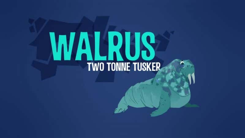 ¼Ƭصľ/Walrus: Two Tonne Tusker-Ļ