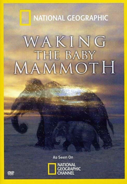 ¼ƬӤ/Waking the Baby Mammoth-Ļ