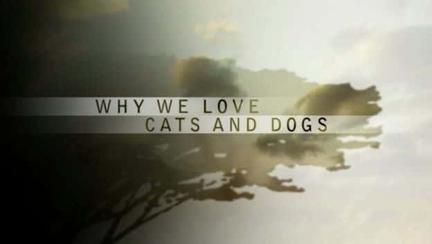 ¼ƬΪʲôǰè͹/Why We Love Cats and Dogs-Ļ