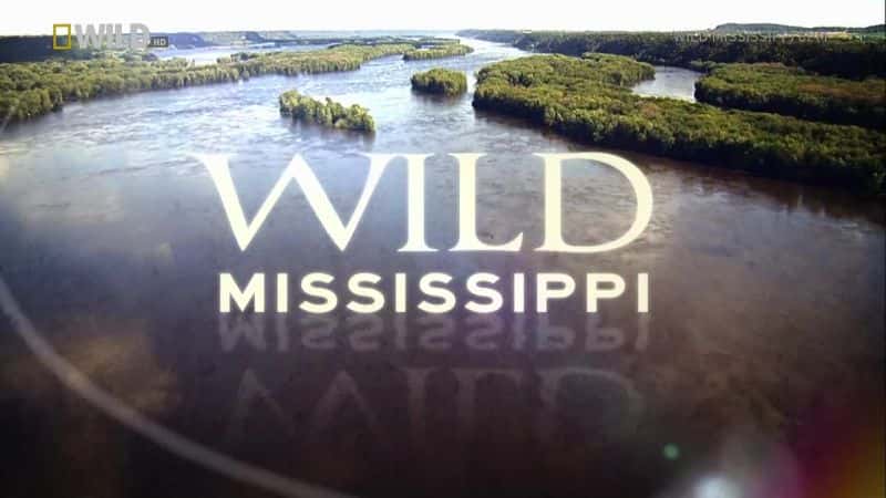 ¼ƬҰȺ/Wild Mississippi-Ļ