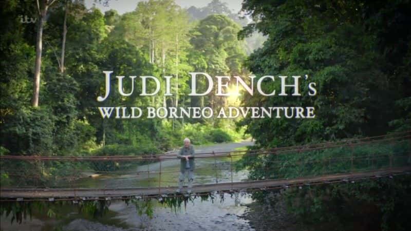 ¼ƬҰ̽/Wild Borneo Adventure-Ļ