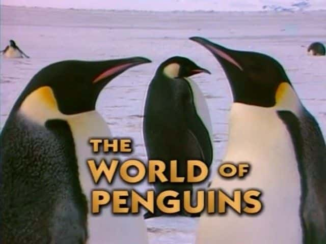 ¼Ƭ/The World of Penguins-Ļ