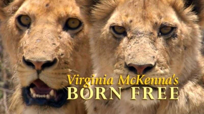 ¼Ƭǡɵɳ/Virginia McKenna's Born Free-Ļ