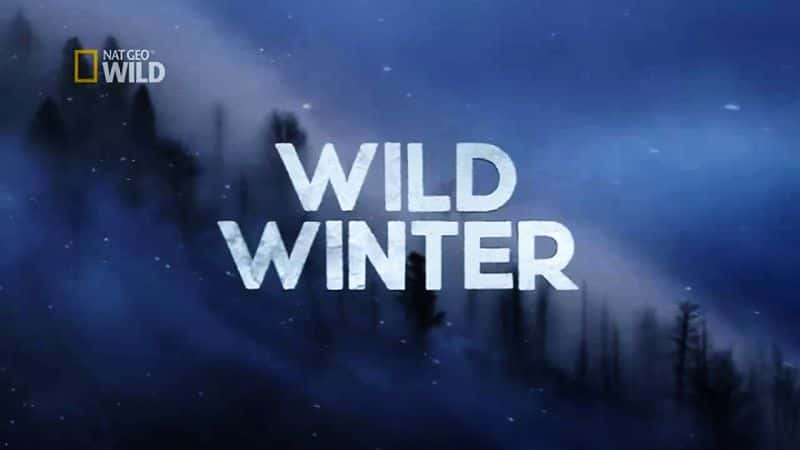 ¼ƬҰ/Wild Winter-Ļ