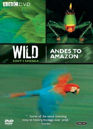 ¼ƬҰ/Wild South America-Ļ