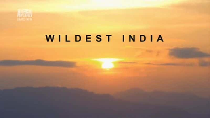 ¼ƬҰӡ/Wildest India-Ļ