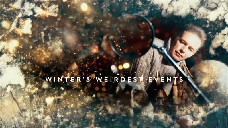 ¼Ƭص¼/Winter's Weirdest Events-Ļ
