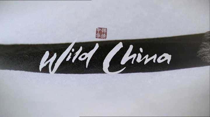ԭ¼Ƭ Wild China  - ¼Ƭ1080P/720P/360PѸ