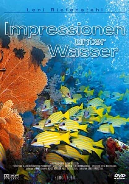 ¼Ƭˮӡ/Underwater Impressions-Ļ