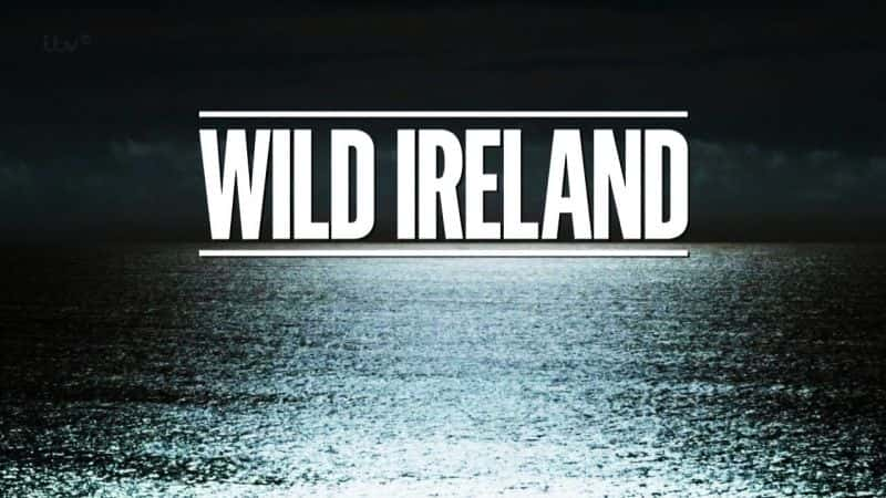 ¼ƬҰ/Wild Ireland-Ļ