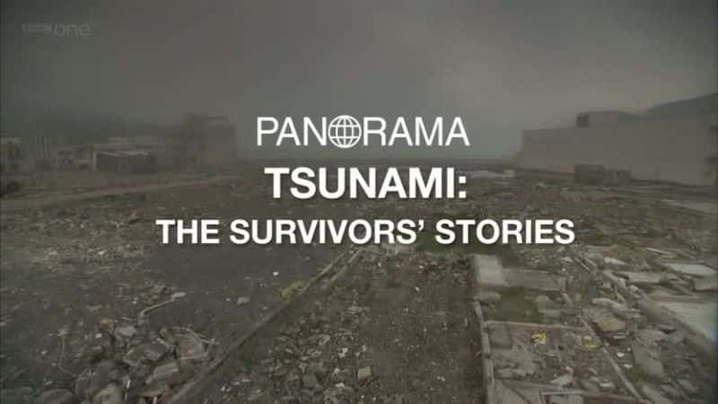 ¼ƬХҴߵĹ/Tsunami: The Survivors Stories-Ļ