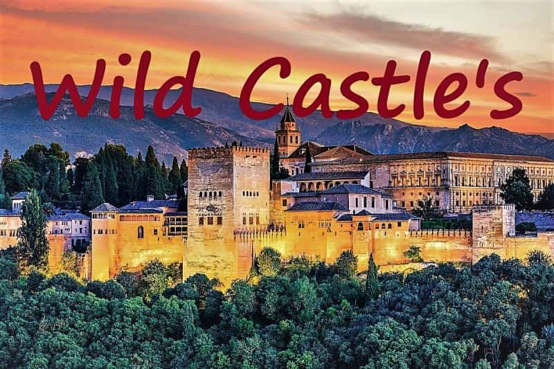 ¼ƬҰǱϵ1/Wild Castles: Series 1-Ļ