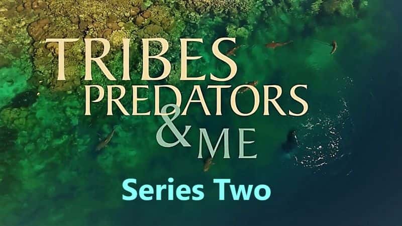 ¼Ƭ䡢ʳߺңڶ/Tribes, Predators and Me: Series 2-Ļ
