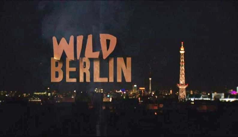 ¼ƬҰ/Wild Berlin-Ļ