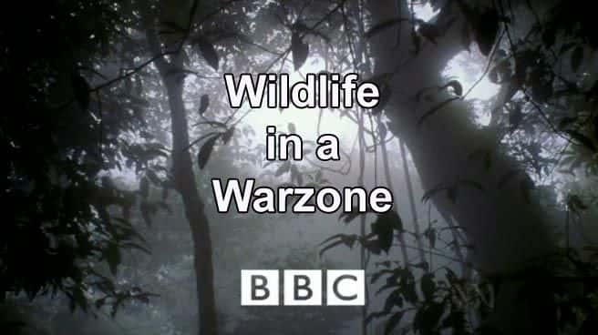 ¼ƬսеҰ/Wildlife in a Warzone-Ļ