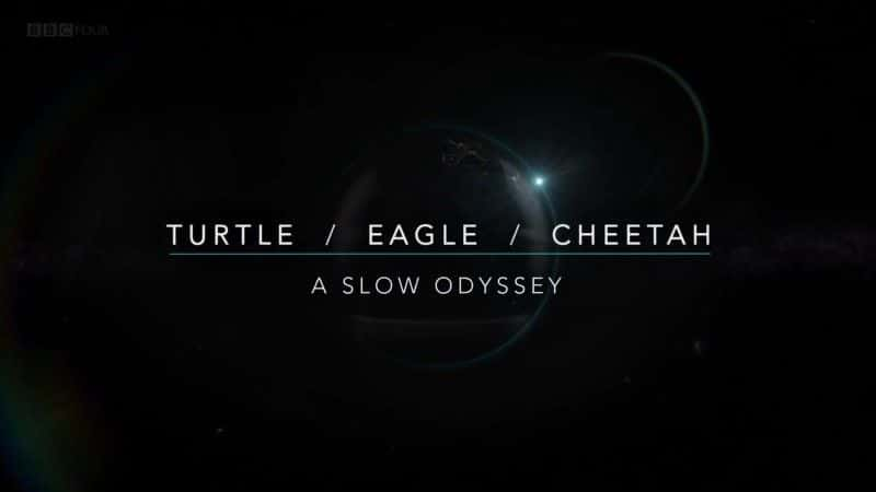 ¼ƬӥԱİµ/Turtle Eagle Cheetah: A Slow Odyssey-Ļ