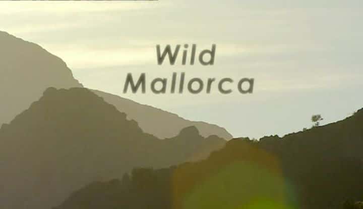 ¼ƬҰԿ/Wild Mallorca-Ļ