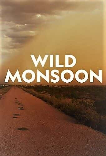 ¼ƬҰ磺һ/Wild Monsoon: Series 1-Ļ