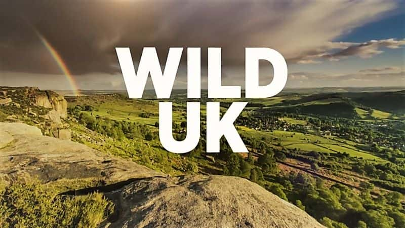 ¼ƬҰӢһ/Wild UK: Series 1-Ļ