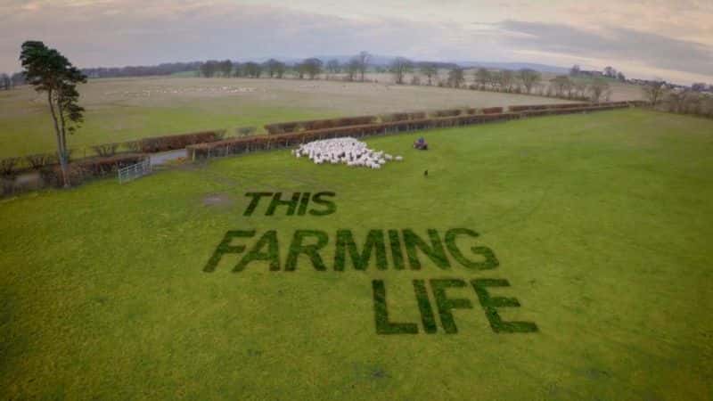 ¼Ƭũ/This Farming Life-Ļ