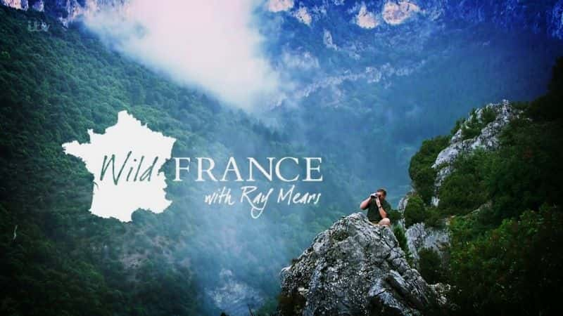 ¼ƬҰס׶˹ͬ/Wild France: With Ray Mears-Ļ