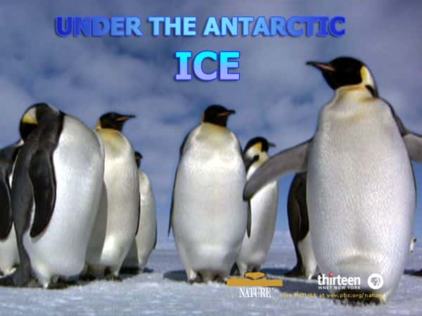 ¼Ƭϼ/Under Antarctic Ice-Ļ