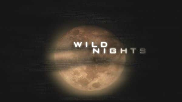 ¼ƬҰ֮ҹ/Wild Nights-Ļ