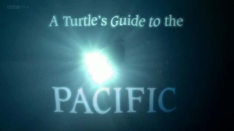 ¼Ƭָϣ̫ƽ/A Turtle's Guide to the Pacific-Ļ