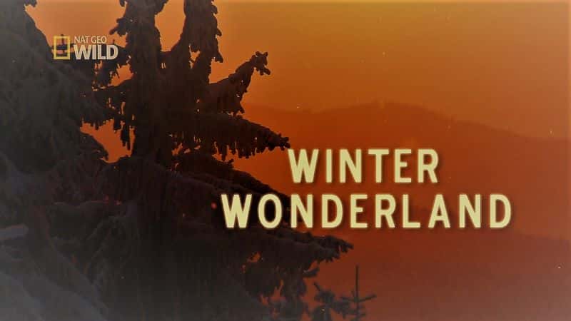 ¼Ƭɾ/Winter Wonderland-Ļ