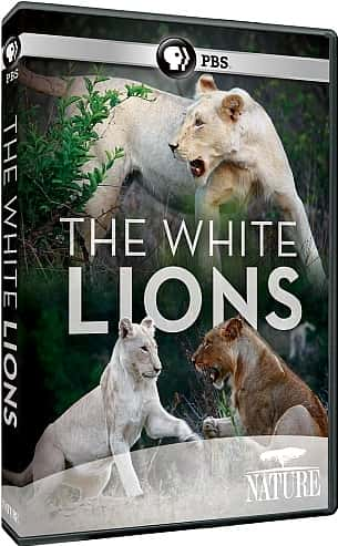 ¼Ƭʨ/The White Lions-Ļ