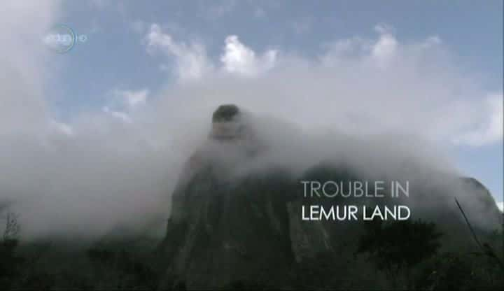 ¼Ƭ԰鷳/Trouble in Lemur Land-Ļ