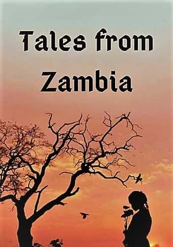 ¼Ƭޱǹ£һ/Tales from Zambia: Series 1-Ļ