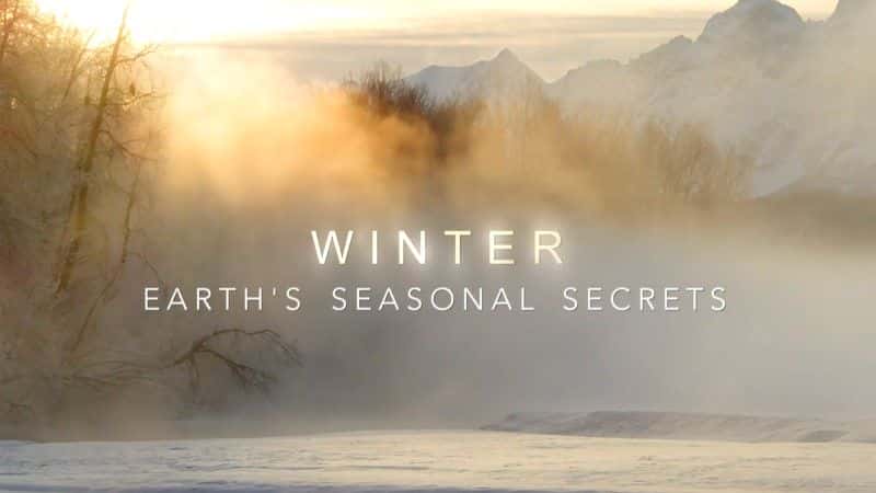 ¼Ƭļ/Winter: Earth's Seasonal Secrets-Ļ