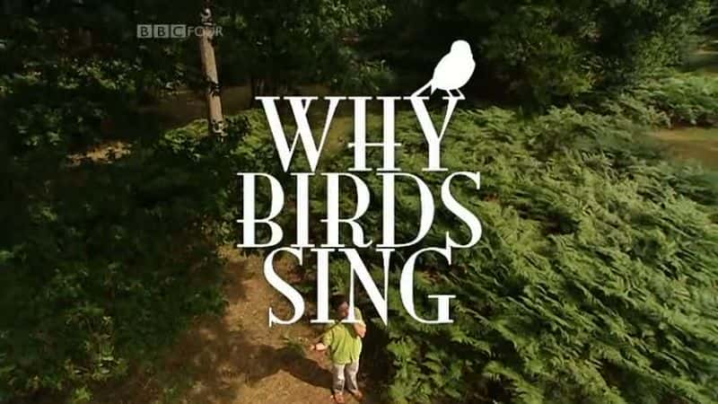 ¼ƬΪʲô/Why Birds Sing-Ļ