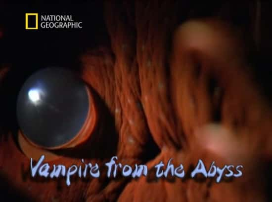 ¼ƬԨеѪ/Vampire from the Abyss-Ļ