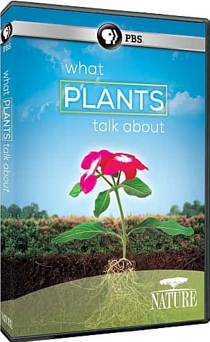 ¼Ƭ̸ֲʲô/What Plants Talk About-Ļ