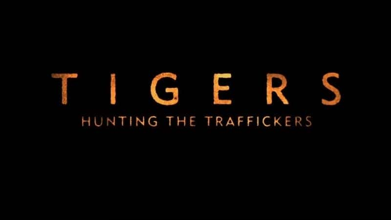 ¼Ƭϻ׷˽/Tigers: Hunting the Traffickers-Ļ