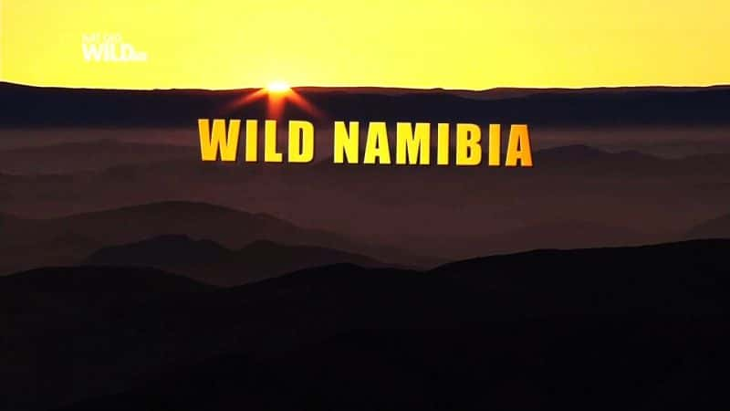 ¼ƬҰױ/Wild Namibia-Ļ