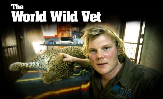 ¼ƬҰҽϵ1/The World Wild Vet Series1-Ļ