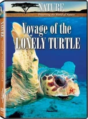 ¼Ƭ¶ĺ/Voyage of the Lonely Turtle-Ļ