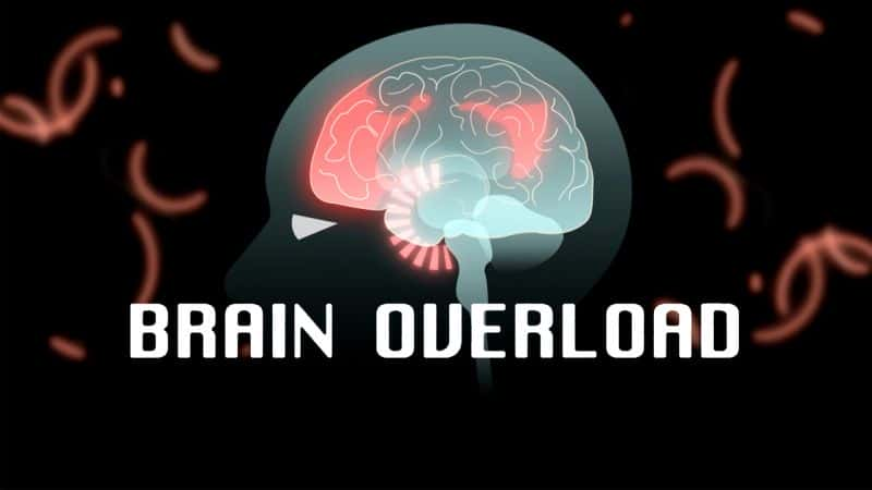 ¼ƬԳ/Brain Overload-Ļ