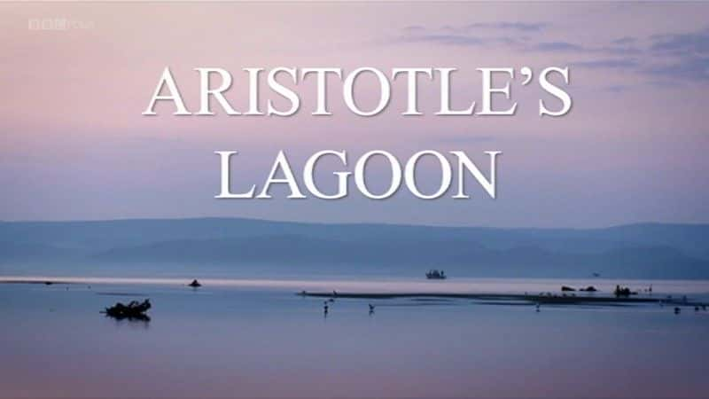 ¼Ƭʿµк/Aristotle's Lagoon-Ļ