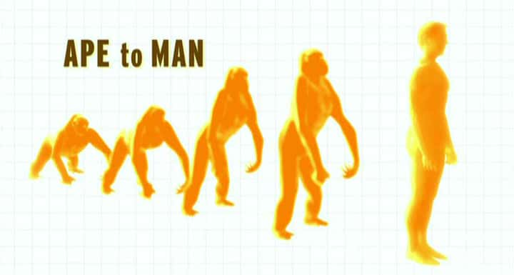 ¼ƬԳ/Ape to Man-Ļ