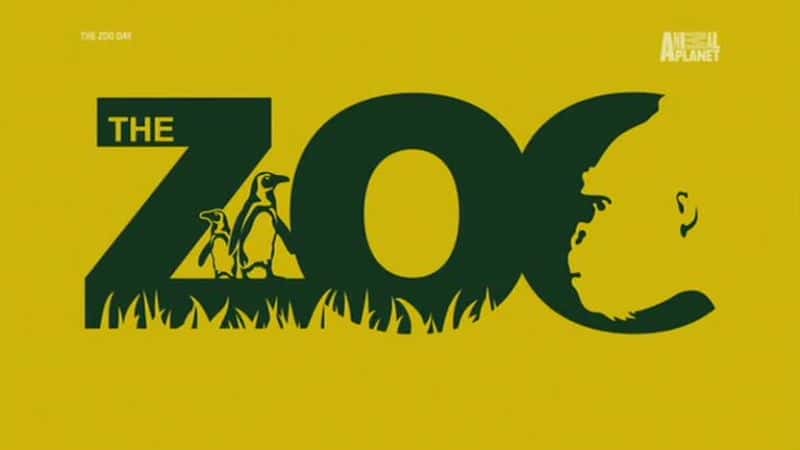¼Ƭ԰ļ/The Zoo: Series 4 Dublin-Ļ