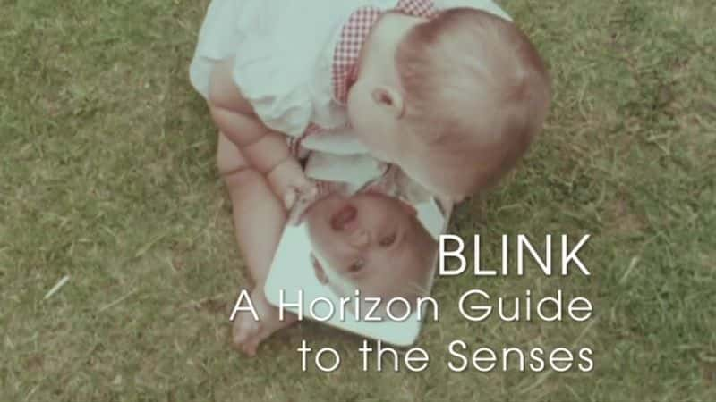 ¼Ƭգۣйٵĵƽָ/Blink: A Horizon Guide to the Senses-Ļ