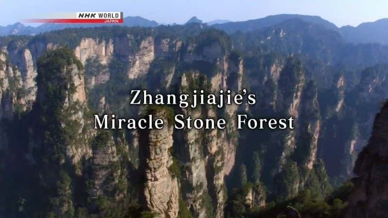 ¼Ƭżҽ漣ʯ/Zhangjiajie's Miracle Stone Forest-Ļ