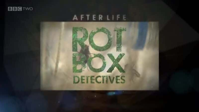 ¼Ƭ󣺸ú̽/After Life: Rot Box Detectives-Ļ