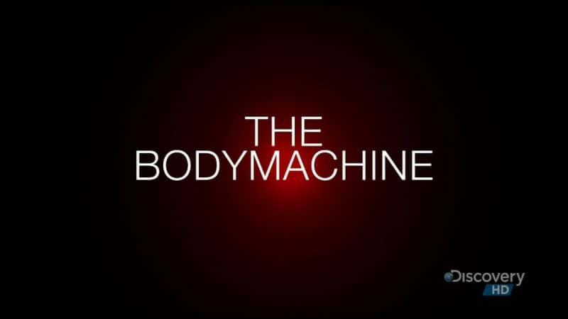 ¼Ƭ/The Body Machine-Ļ