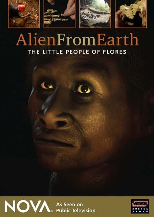 ¼ƬԵˣ˹С/Alien from Earth: The Little People of Flores-Ļ